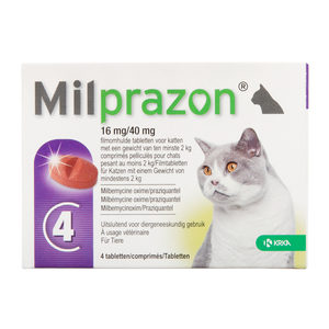 Milprazon Katze groß